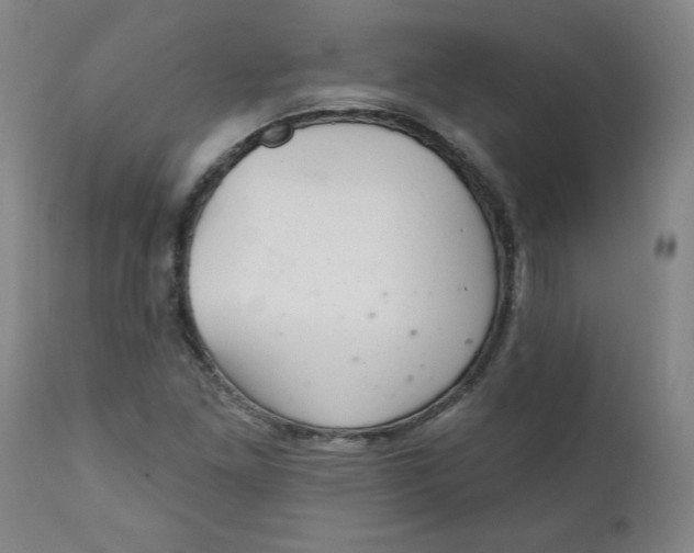 X0000112021261200908241506