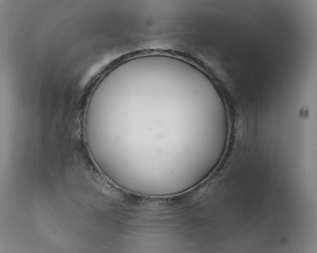 X0000112021262200908241506