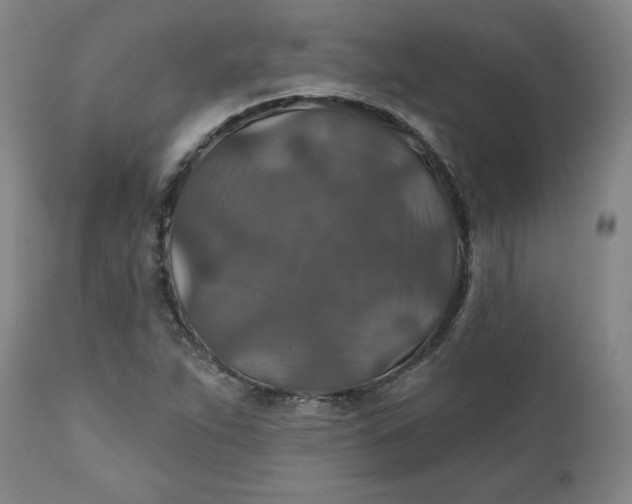 X0000112021263200908241506