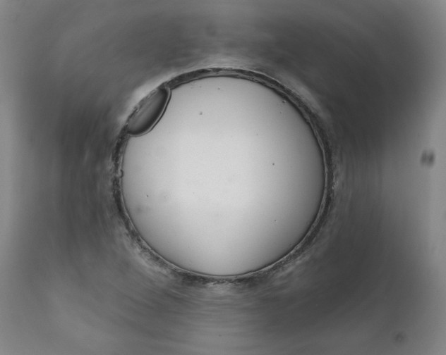 X0000112021264200908241506