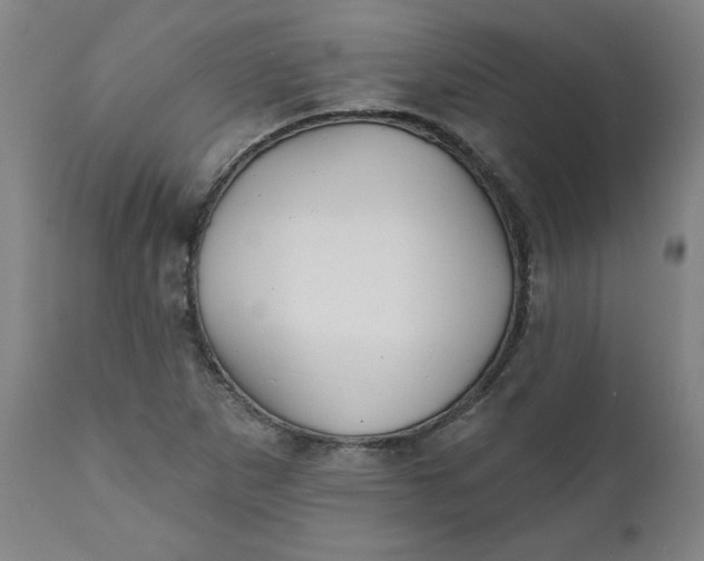 X0000112021265200908241506