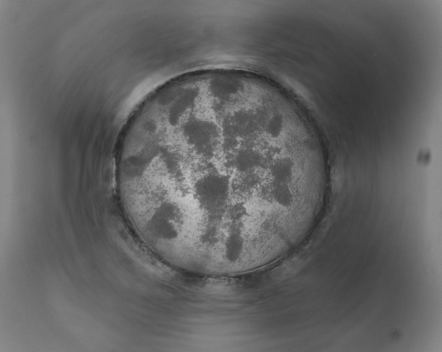 X0000112021267200908241506