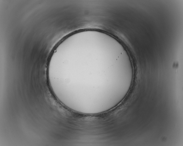 X0000112021268200908241506