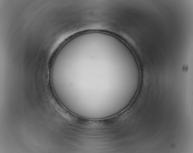 X0000112021270200908241506