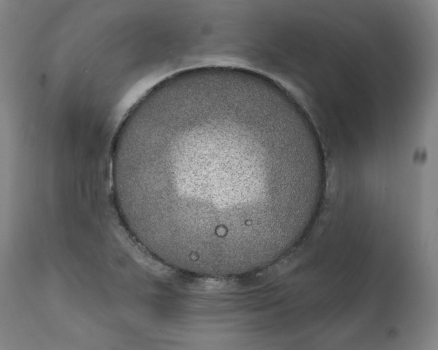 X0000112021271200908241506