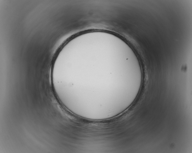 X0000112021272200908241506