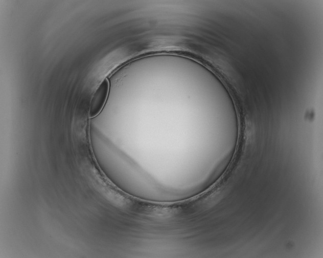 X0000112021273200908241506