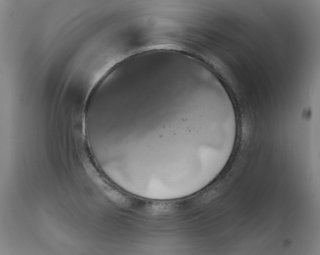 X0000112021274200908241506