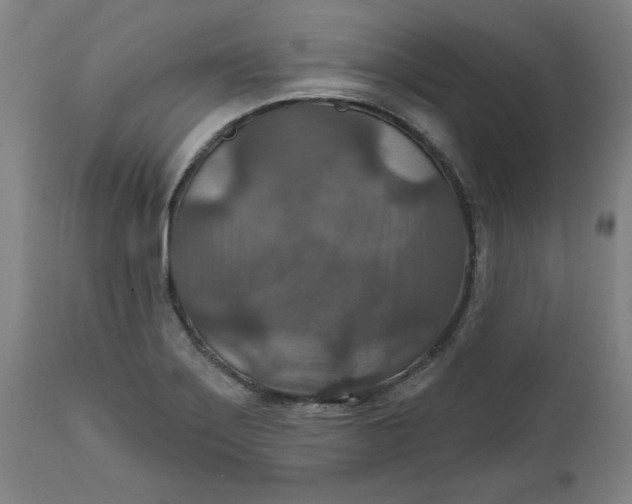 X0000112021275200908241506