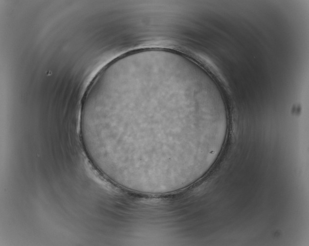 X0000112021276200908241506