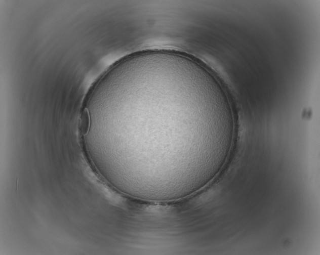 X0000112021277200908241506