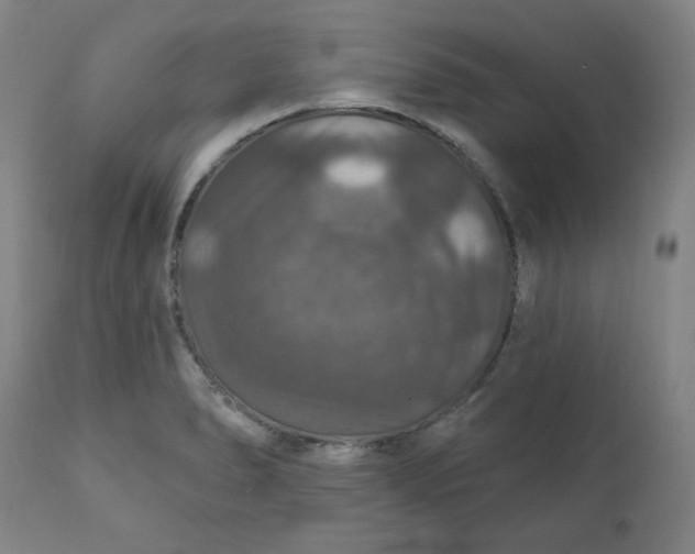 X0000112021278200908241506