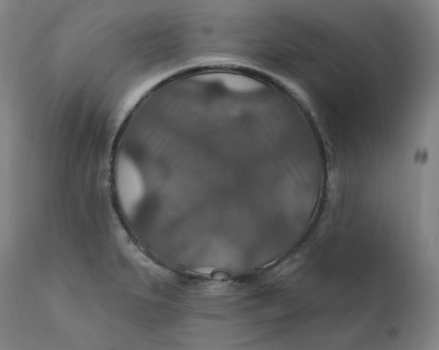 X0000112021279200908241506