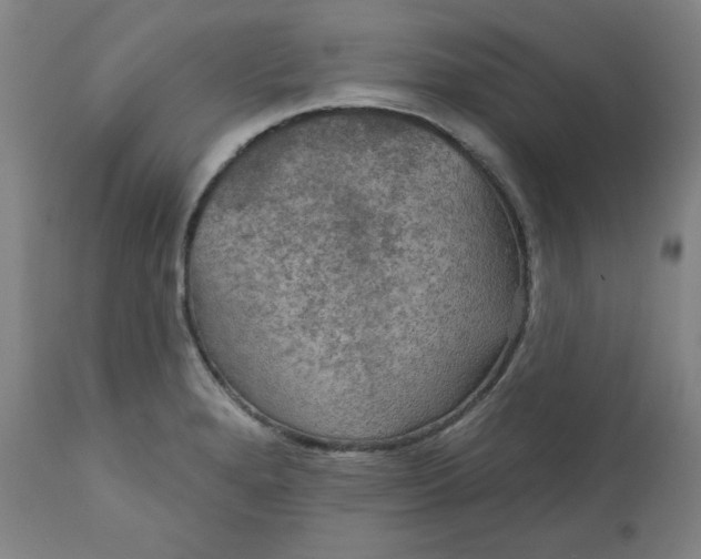 X0000112021280200908241506