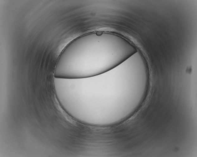 X0000112021281200908241506