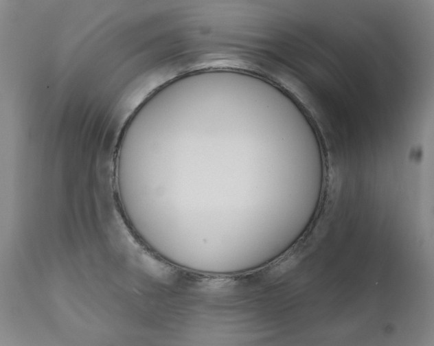 X0000112021282200908241506