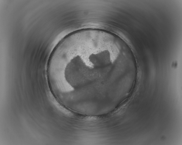 X0000112021283200908241506