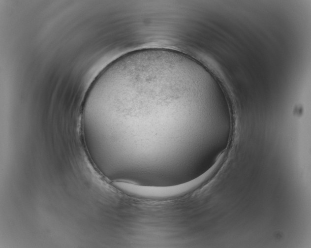 X0000112021284200908241506