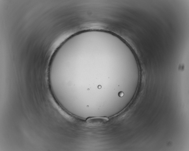 X0000112021285200908241506