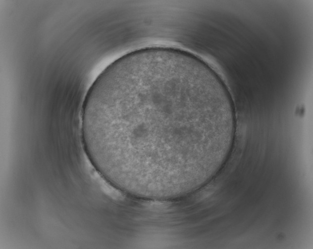 X0000112021287200908241506