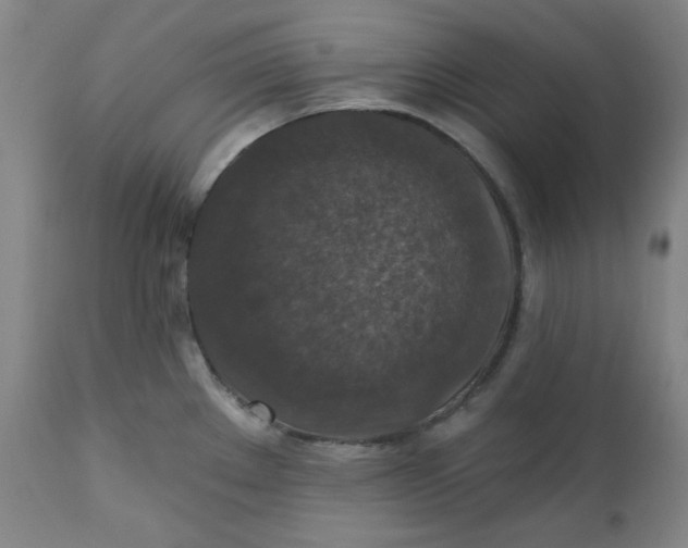 X0000112021289200908241506