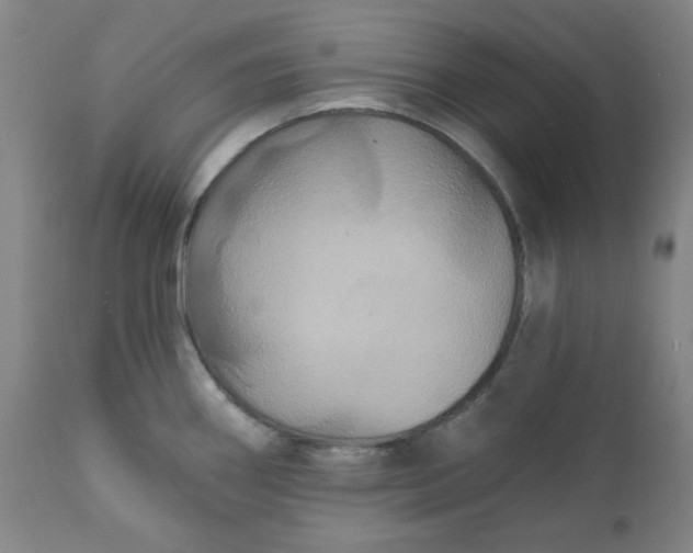 X0000112021290200908241506