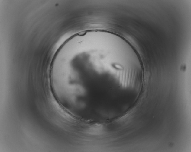 X0000112021291200908241506