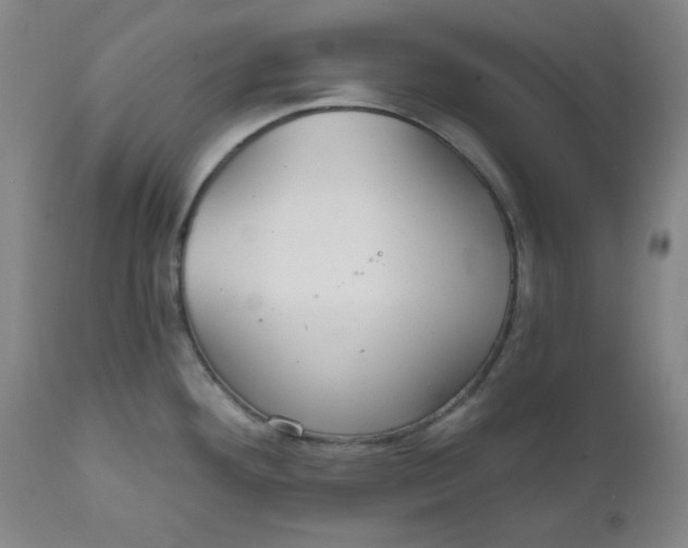 X0000112021292200908241506