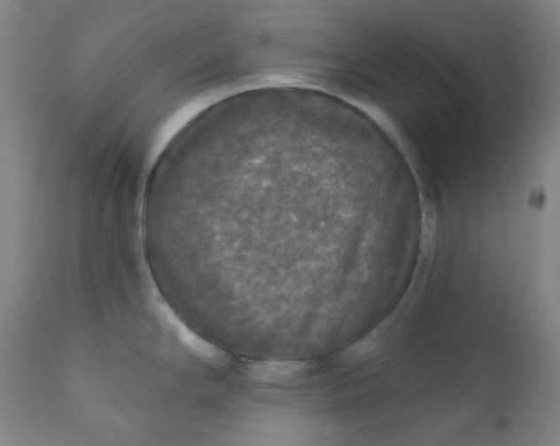 X0000112021294200908241506