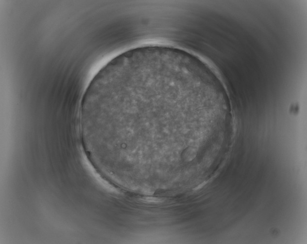 X0000112021295200908241506