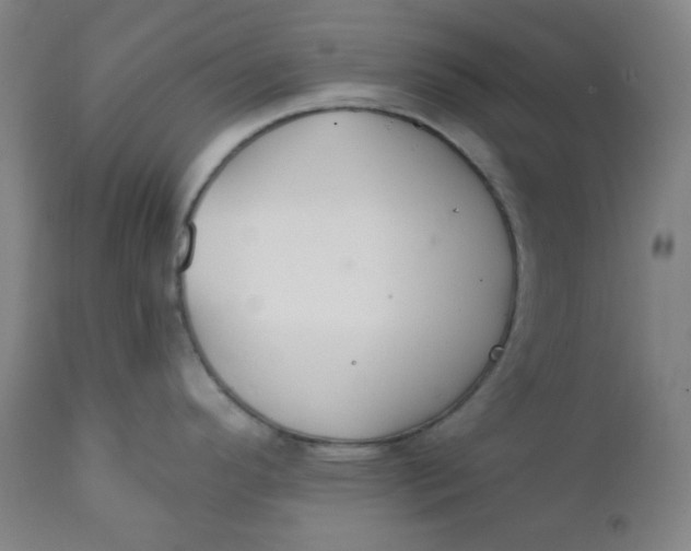 X0000112021296200908241506