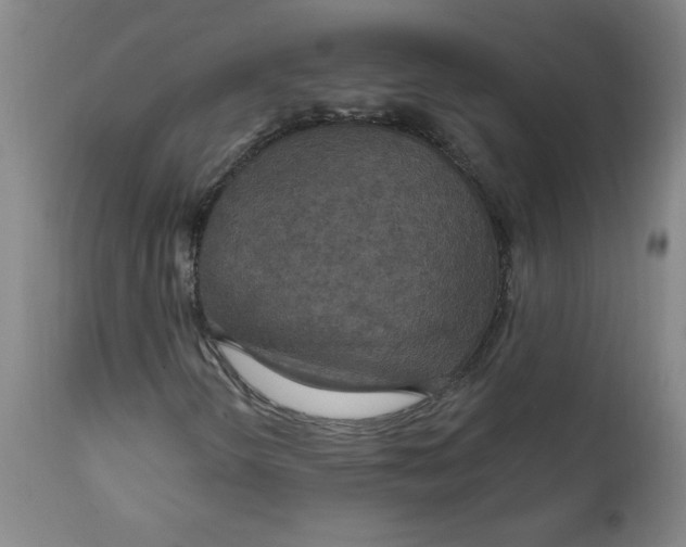 X0000112021298200908241505