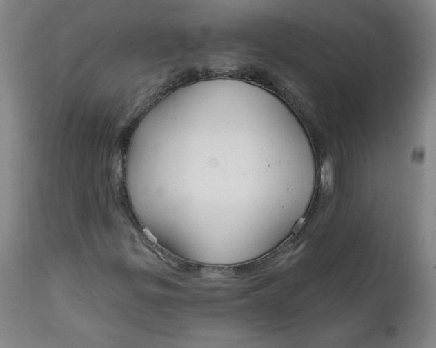 X0000112021299200908241505