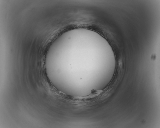 X0000112021300200908241505