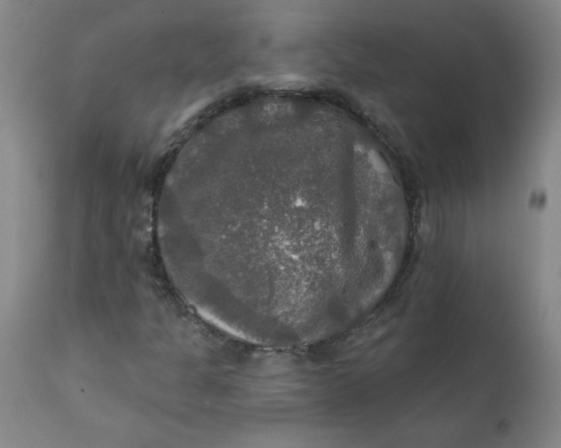 X0000112021301200908241505