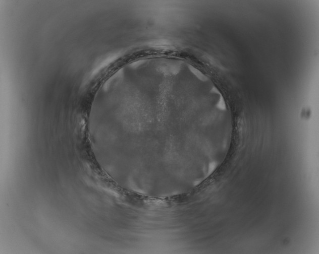 X0000112021302200908241505