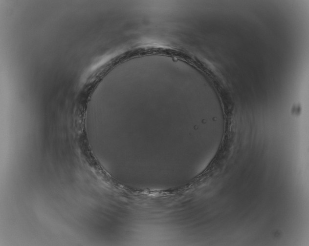 X0000112021303200908241505