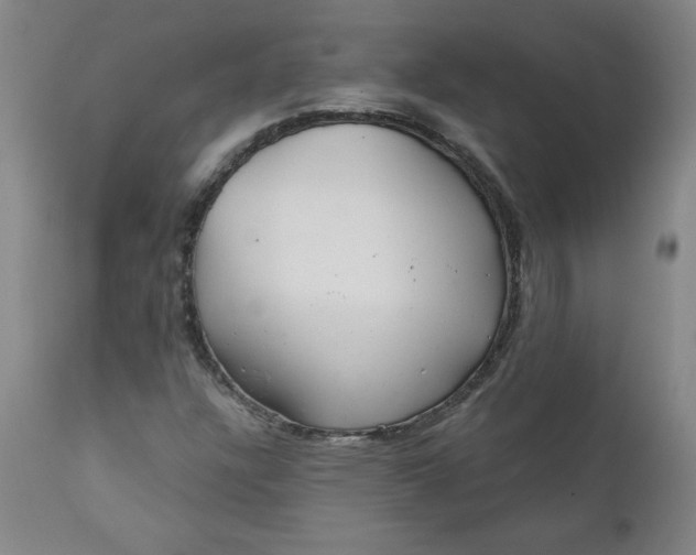 X0000112021304200908241505