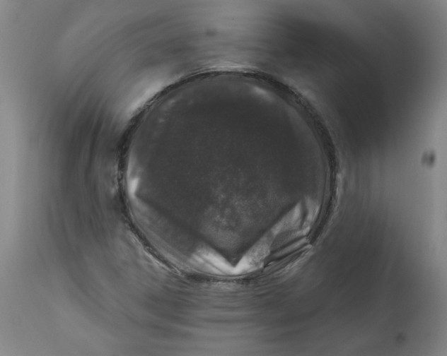 X0000112021306200908241505