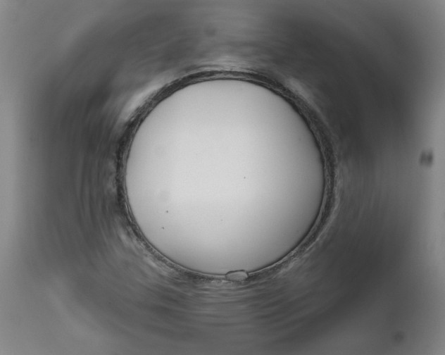 X0000112021307200908241505