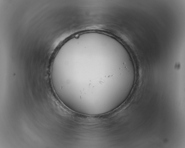 X0000112021308200908241505