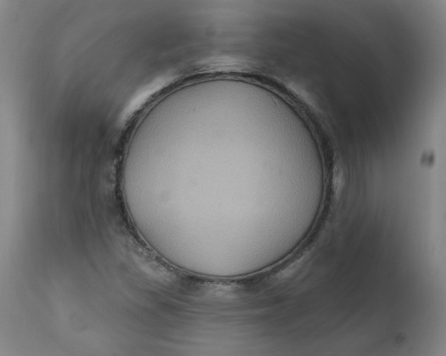 X0000112021309200908241505