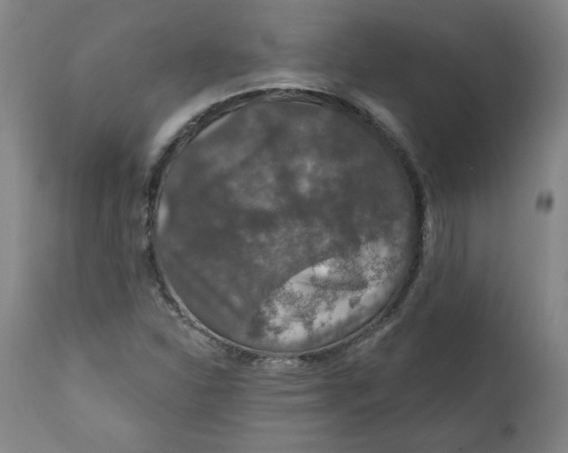 X0000112021310200908241505