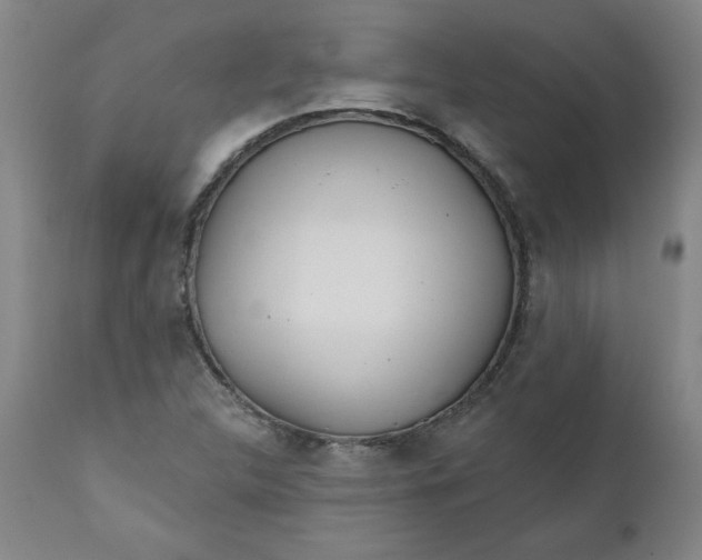 X0000112021312200908241505