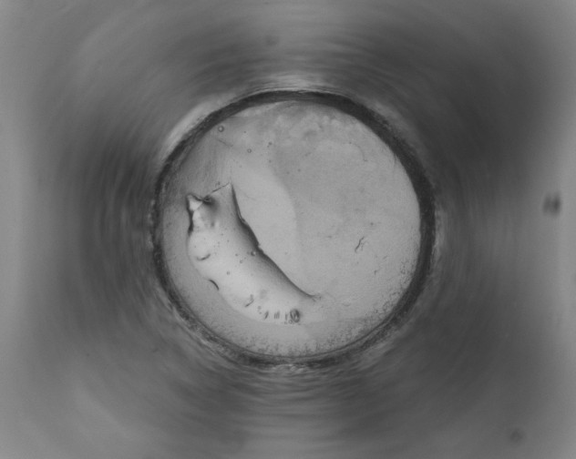 X0000112021314200908241505