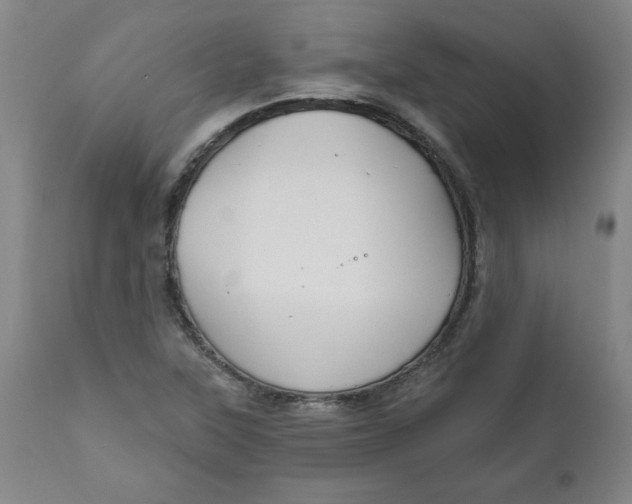 X0000112021315200908241505