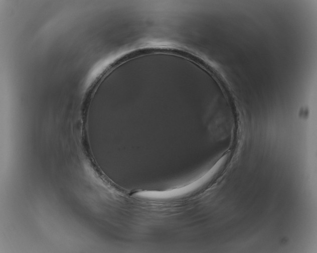 X0000112021319200908241505