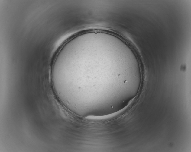 X0000112021320200908241505