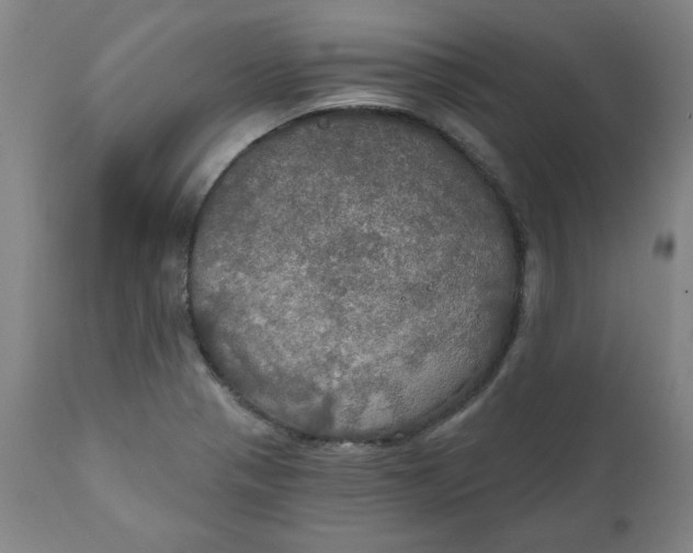 X0000112021321200908241506