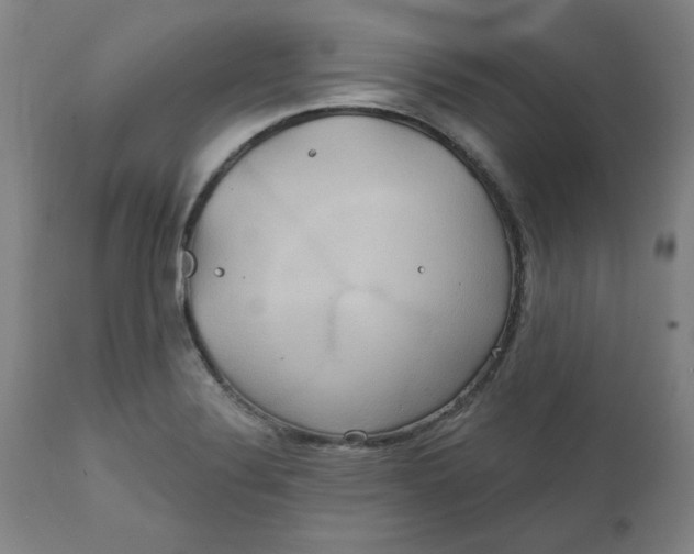 X0000112021324200908241506